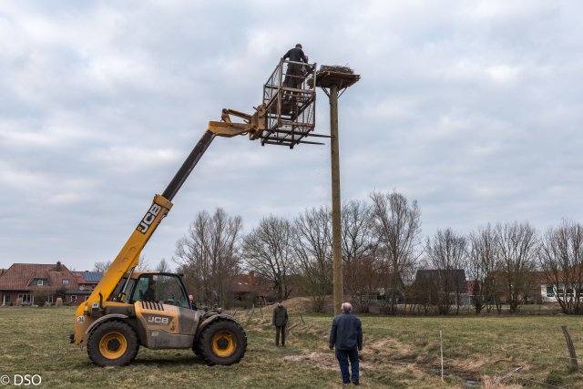 2018 Storchennest(auf)bau in Ausbuettel und Ribbesbuettel 035